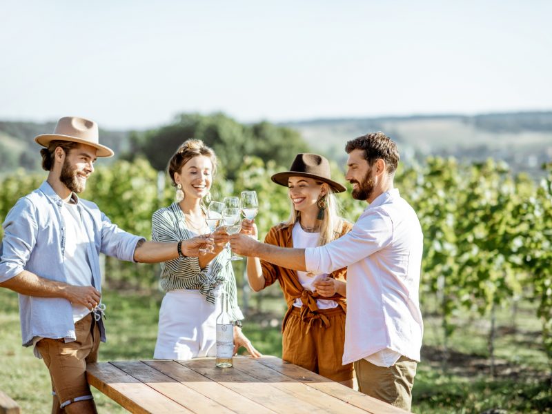 Friends tasting wine on the vineyard